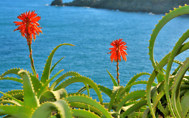 Elbanatura cosmetici Isola d'Elba