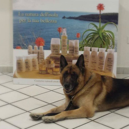 detergenti senza tensioattivi chimici